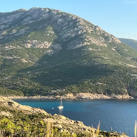 Entre Mer Et Montagne Lama